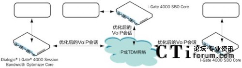 ��I(y��) VoIP ��Ԓ��(y��u)��